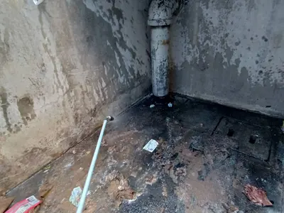 ゴミ置き場の害虫対策｜マンション共用部の衛生管理