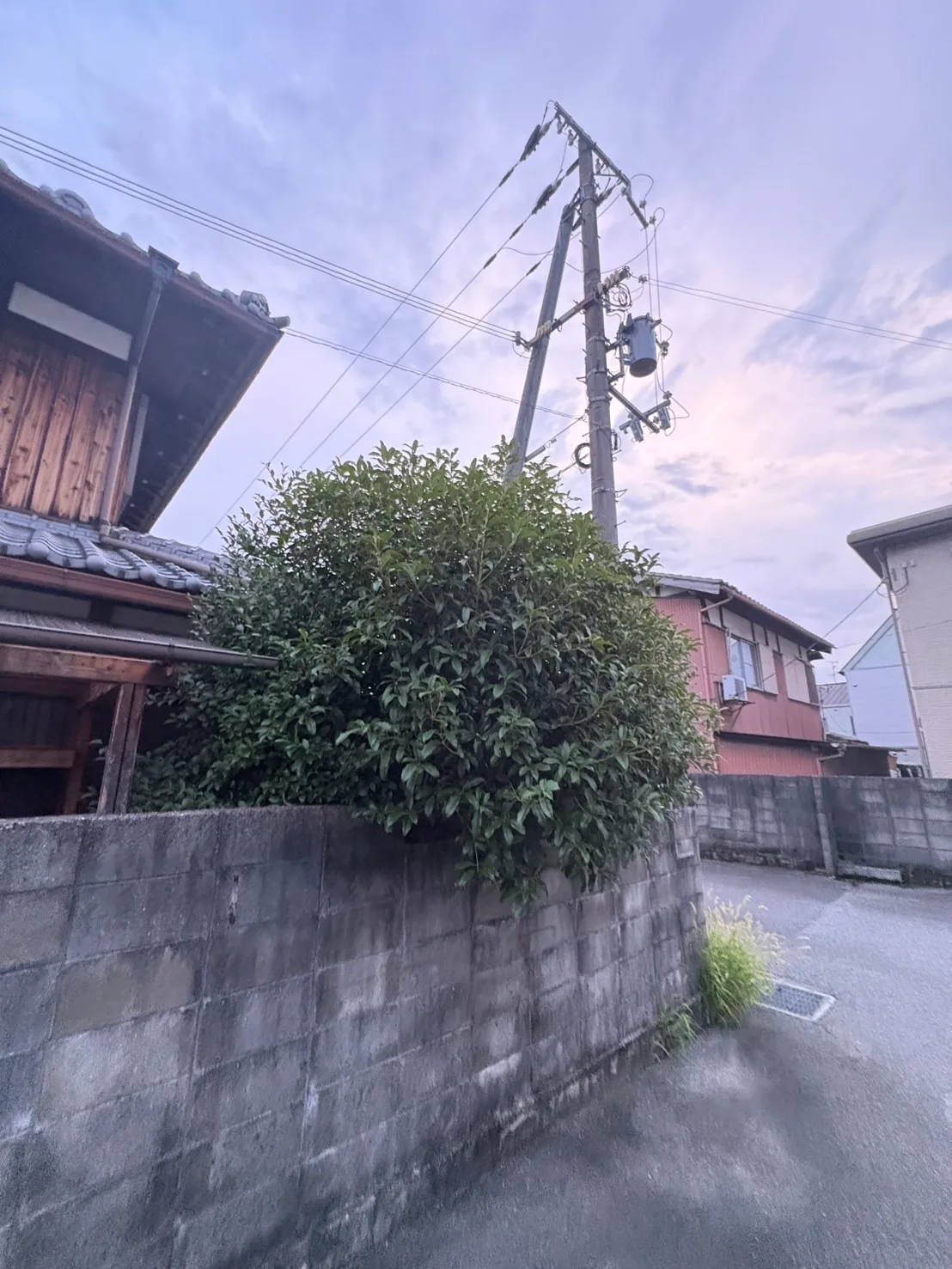 駐車場の雑草対策と隣地植栽への対応｜賃貸物件の環境整備