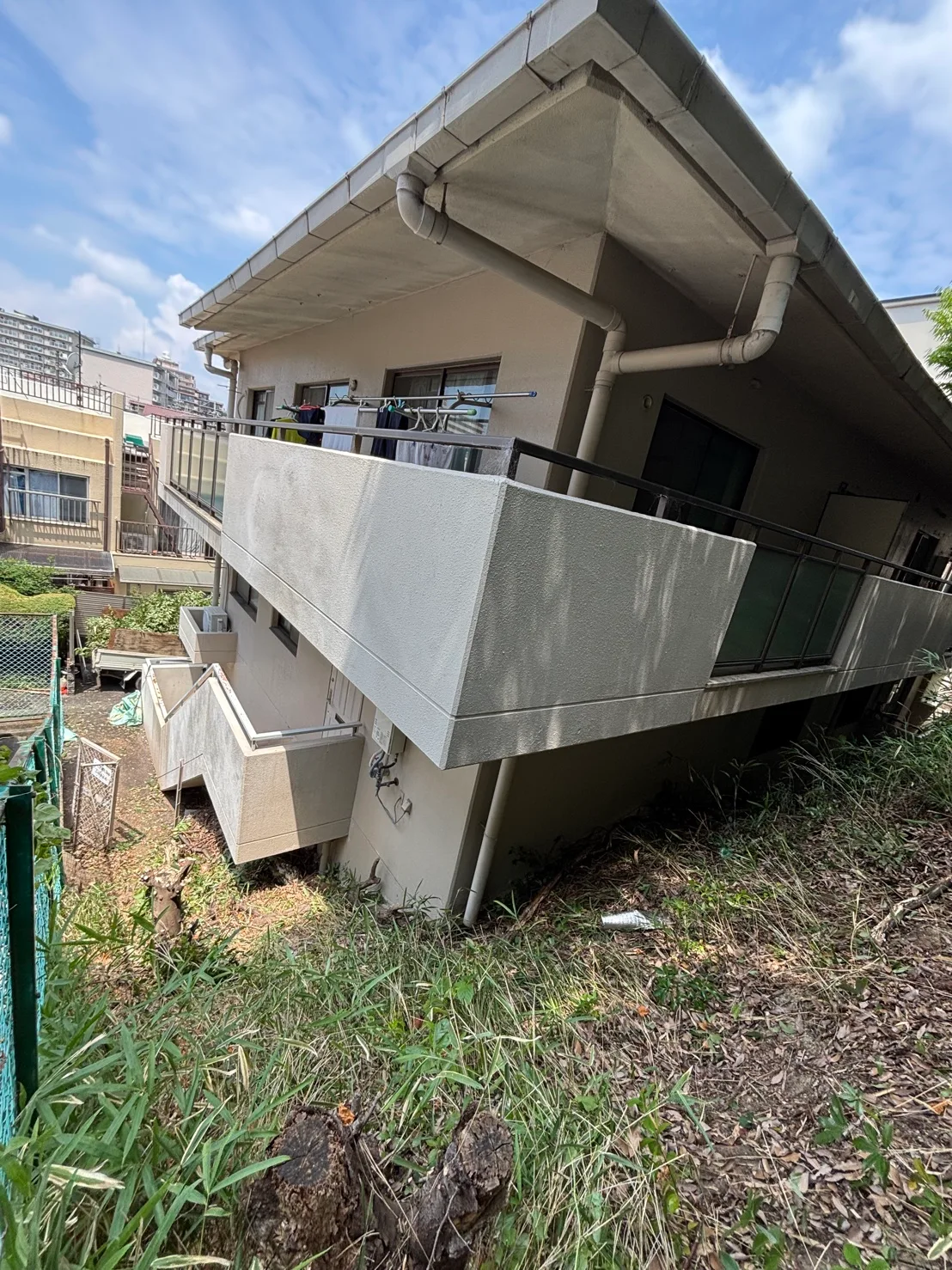 建物周辺の樹木が虫の発生原因に｜賃貸物件の害虫対策