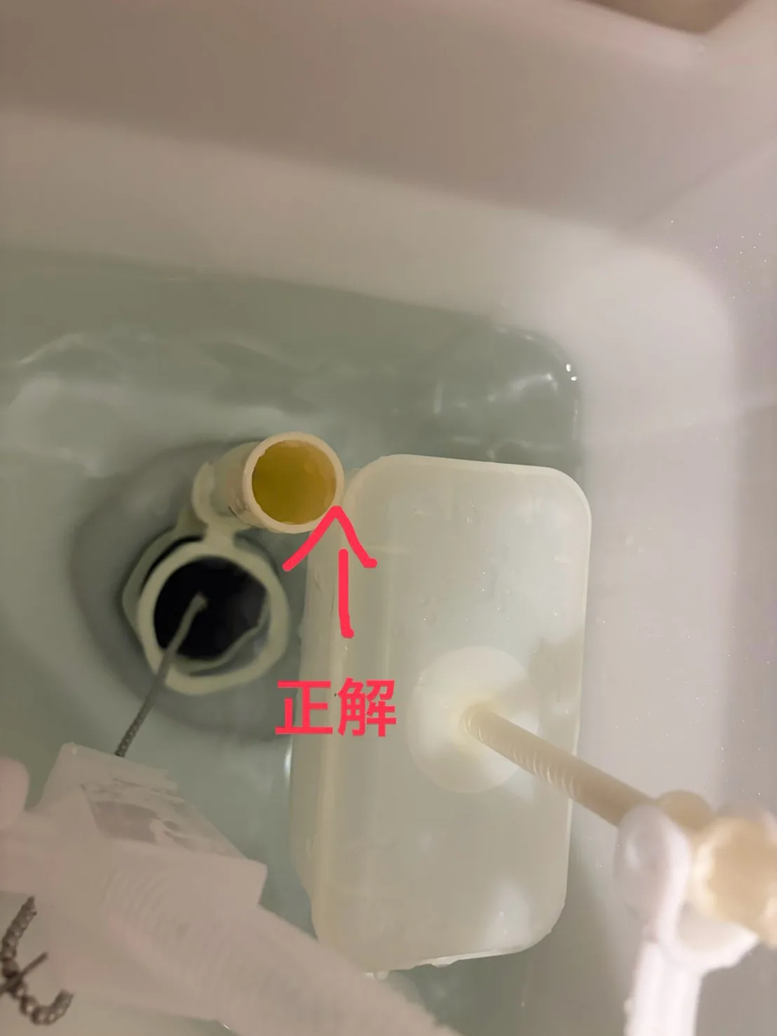 トイレの水が流れない原因｜賃貸物件のトイレトラブル対応