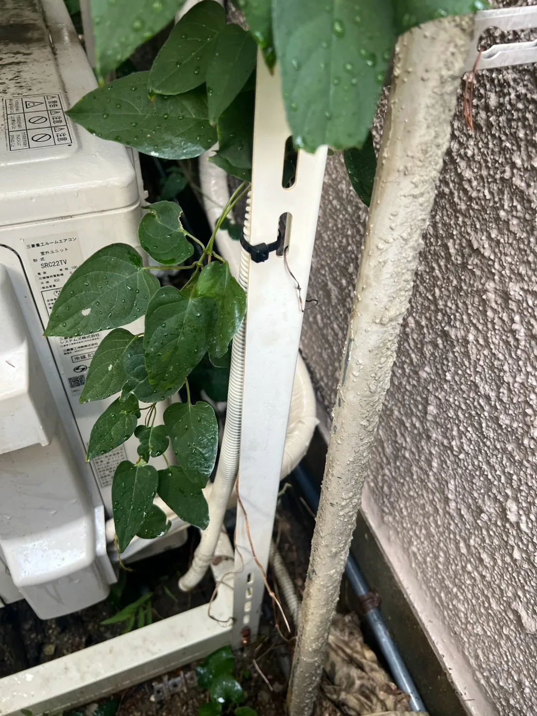 エアコンからの水漏れ｜賃貸物件で室内への漏水を防ぐ修繕対応